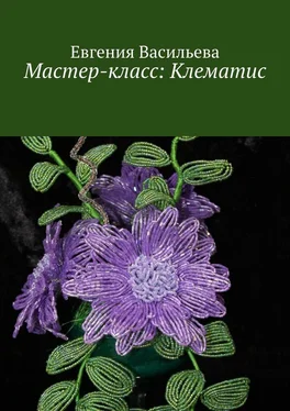 Евгения Васильева Мастер-класс: клематис обложка книги