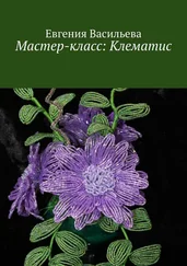 Евгения Васильева - Мастер-класс - клематис