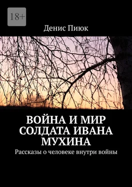 Денис Пиюк Война и мир солдата Ивана Мухина. Рассказы о человеке внутри войны обложка книги