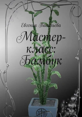 Евгения Васильева Мастер-класс: бамбук обложка книги