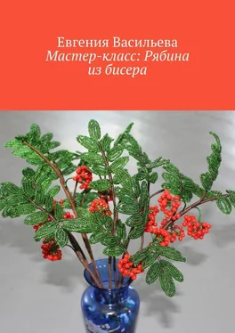 Евгения Васильева Мастер-класс: рябина из бисера обложка книги