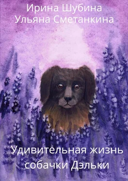 Ульяна Сметанкина Удивительная жизнь собачки Дэльки обложка книги