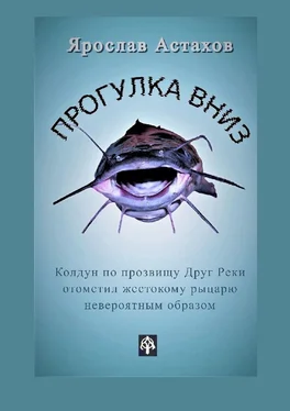 Ярослав Астахов Прогулка вниз обложка книги