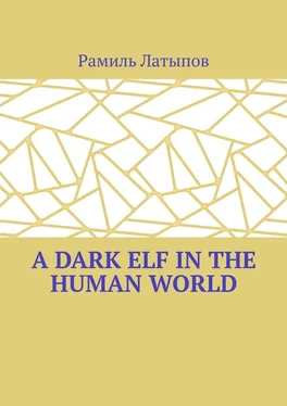 Рамиль Латыпов A dark elf in the human world обложка книги