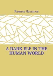 Рамиль Латыпов - A dark elf in the human world
