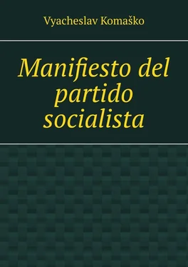 Vyacheslav Komaško Manifiesto del partido socialista обложка книги