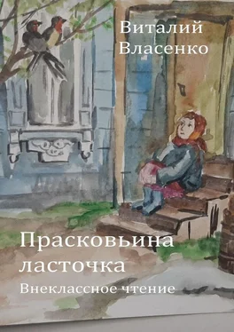 Виталий Власенко Прасковьина ласточка обложка книги