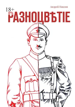 Андрей Павлов Разноцвѣтіе обложка книги