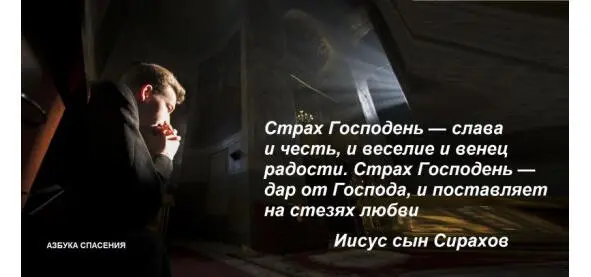 Блаженный Диадох Фотикийский О любви к Богу в чувстве сердца как она - фото 12