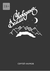 Сергей Наумов - Свободные Земли