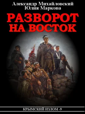 Александр Михайловский Разворот на восток обложка книги