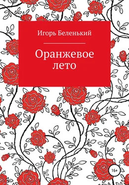 Игорь Беленький Оранжевое лето обложка книги