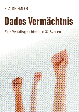 E. A. Kriemler Dados Vermächtnis обложка книги