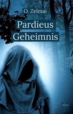 O. Zelmai Pardieus Geheimnis обложка книги