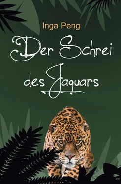 Inga Peng Der Schrei des Jaguars обложка книги