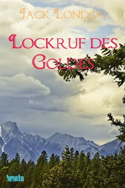 Jack London Lockruf des Goldes обложка книги