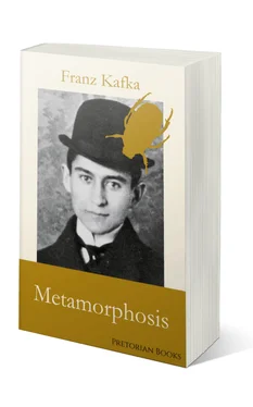 Franz Kafka Kafka Metamorphosis обложка книги