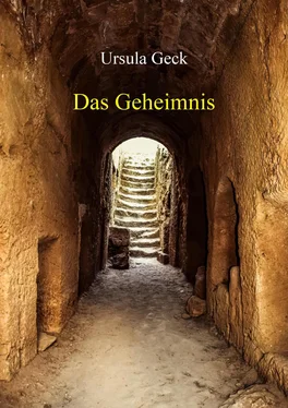 Ursula Geck Das Geheimnis обложка книги