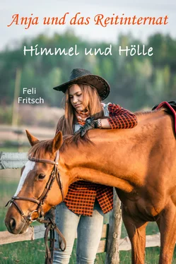 Feli Fritsch Anja und das Reitinternat - Himmel und Hölle обложка книги