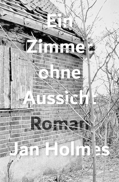 Jan Holmes Ein Zimmer ohne Aussicht обложка книги
