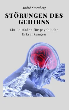 André Sternberg Störungen des Gehirns обложка книги