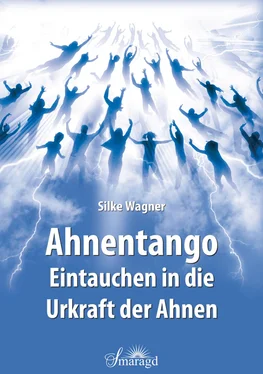 Silke Wagner Ahnentango обложка книги