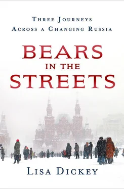 Lisa Dickey Bears in the Streets обложка книги