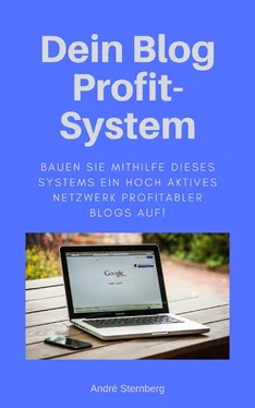 André Sternberg Das Blog Profit-System обложка книги