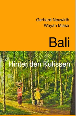 Gerhard Neuwirth Bali обложка книги
