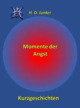 Hans Detlef Junker Momente der Angst обложка книги