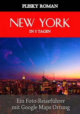 Roman Plesky New York in 5 Tagen обложка книги