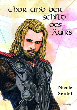 Nicole Seidel Thor und der Schild des Ägirs обложка книги
