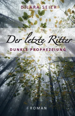 Dilara Seier Der letzte Ritter обложка книги