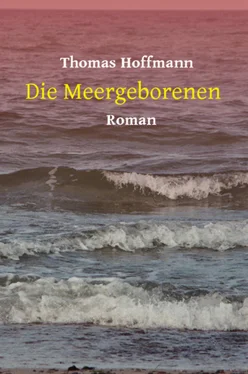 Thomas Hoffmann Die Meergeborenen обложка книги