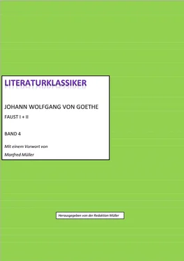 Johann Wolfgang von Goethe (hg. von Redaktion Johann Wolfgang von Goethe - Faust I + II обложка книги