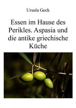 Ursula Geck Essen im Hause des Perikles. Aspasia und die antike griechische Küche обложка книги