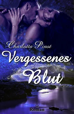 Charlotta Pinot Vergessenes Blut обложка книги