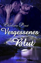 Charlotta Pinot - Vergessenes Blut