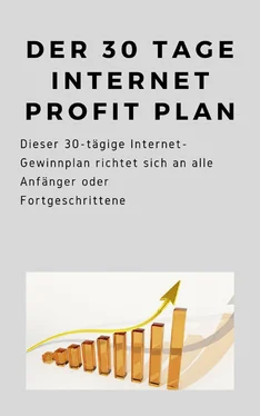 André Sternberg Der 30 Tage Internet Profit Plan обложка книги