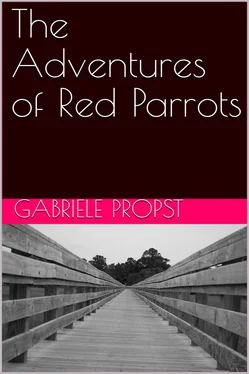 Gabriele Propst The Adventures of Red Parrots обложка книги