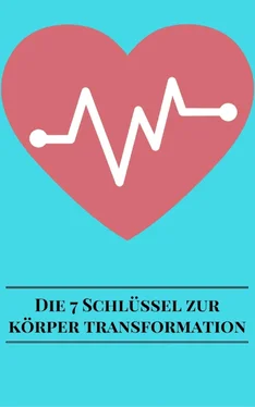 André Sternberg Die 7 Schlüssel Zur Körper Transformation обложка книги