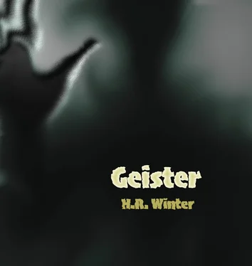 Harald Winter Geister обложка книги