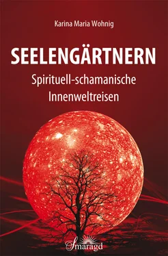 Karina Maria Wohnig Seelengärtnern обложка книги