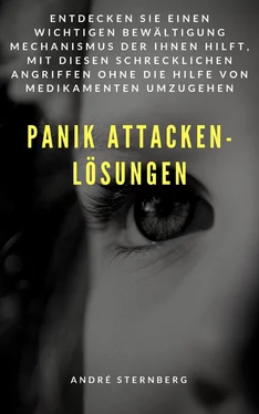 André Sternberg Panik Attacken - Lösungen обложка книги