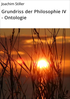 Joachim Stiller Grundriss der Philosophie IV - Ontologie обложка книги