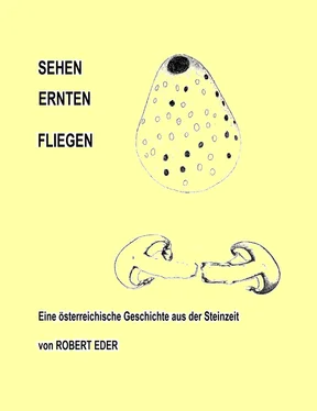 Robert Eder SEHEH ERNTEN FLIEGEN обложка книги