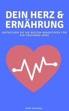 André Sternberg Dein Herz und Ernährung обложка книги