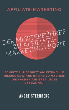 André Sternberg Der Meisterführer zu Affiliate-Marketing Profit обложка книги