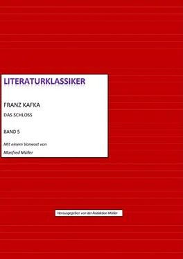 Franz Kafka Franz Kafka – Das Schloss обложка книги
