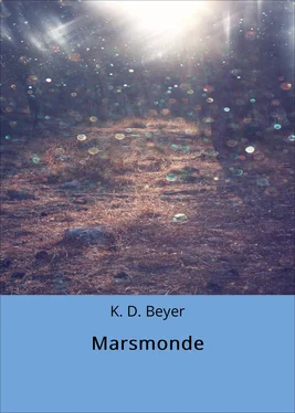 K. D. Beyer Marsmonde обложка книги